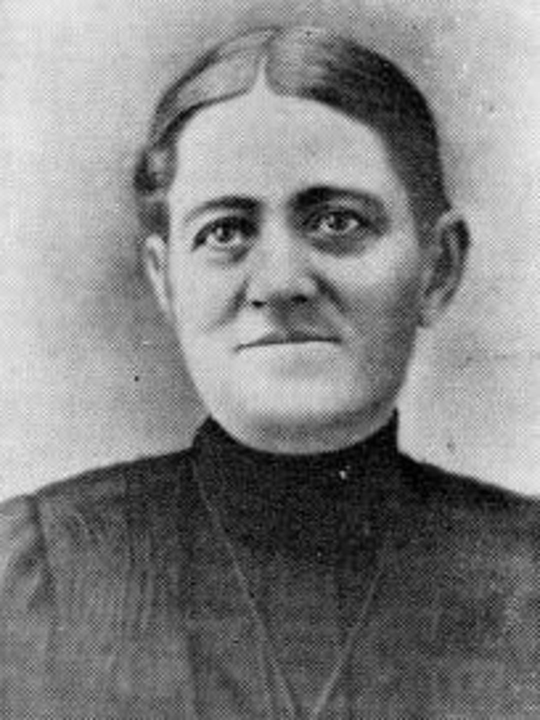 Emeline Tibbitts (1856 - 1926) Profile